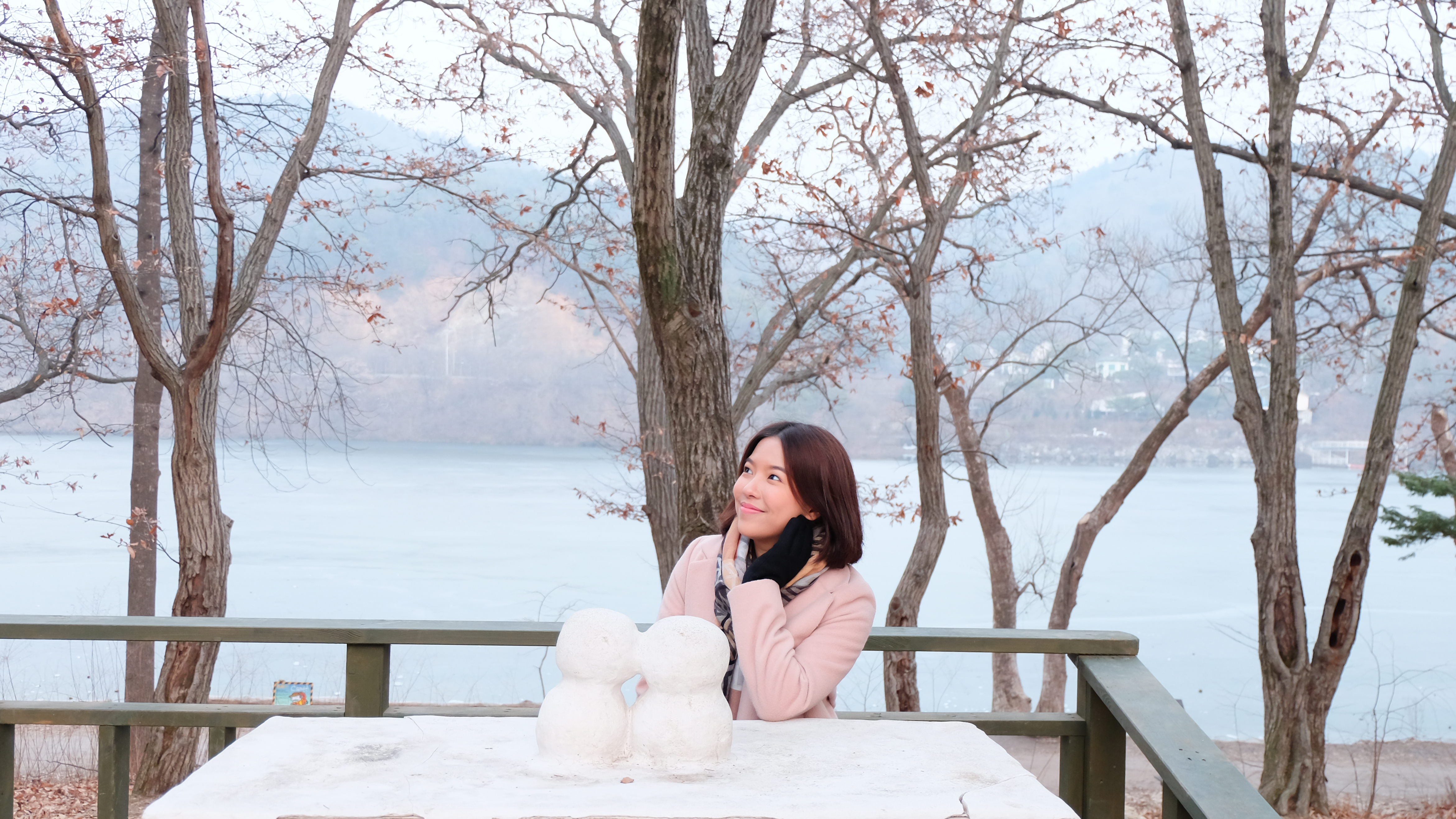 春川(チュンチョン) 南怡島(ナミソム)・晨静樹木園(アチムゴヨ)・プチフランス & イタリア村 バスツアー(ソウル発)