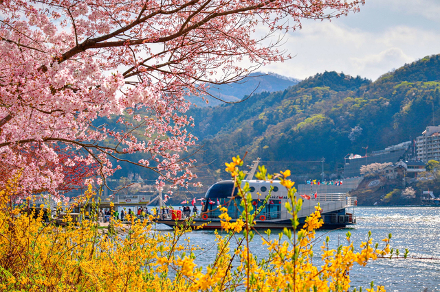 ソウル発 春川(チュンチョン) 南怡島(ナミソム)&プチフランス 一日ツアー