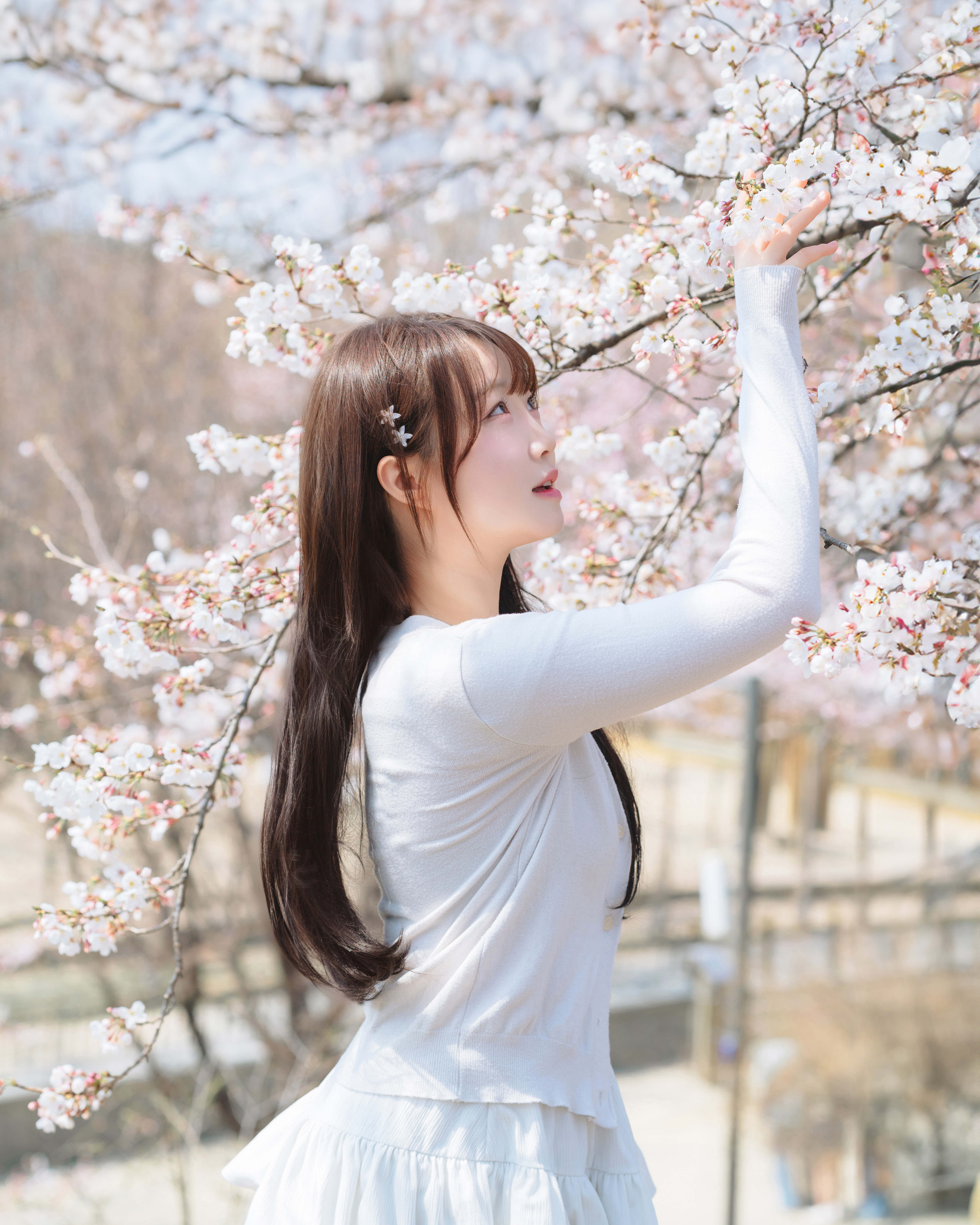 ソウルで思い出を刻む：Dally Photoによるプロの記念写真撮影