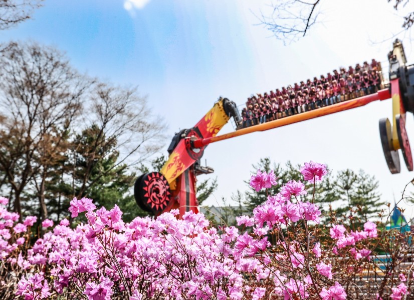 京畿道 果川 ・ソウルランド&ソウル大公園動物園チケット()|ソウルランド完全ガイド|チケット・アクセス・楽しみ方と予約の流れ