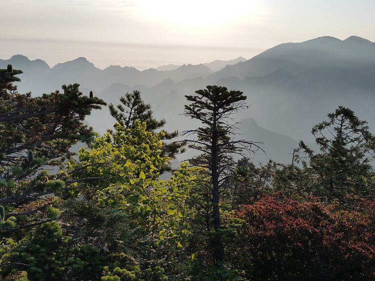 江原道 春川(チュンチョン) 南怡島(ナミソム) & 雪岳山(ソラクサン) 日帰りツアー