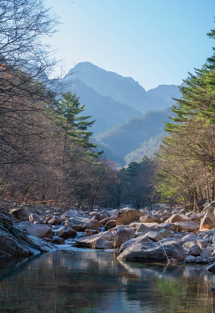 江原道 春川(チュンチョン) 南怡島(ナミソム) & 雪岳山(ソラクサン) 日帰りツアー