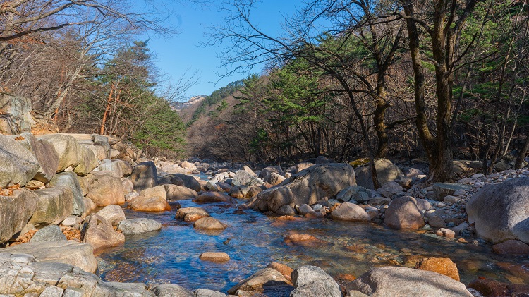 江原道 春川(チュンチョン) 南怡島(ナミソム) & 雪岳山(ソラクサン) 日帰りツアー