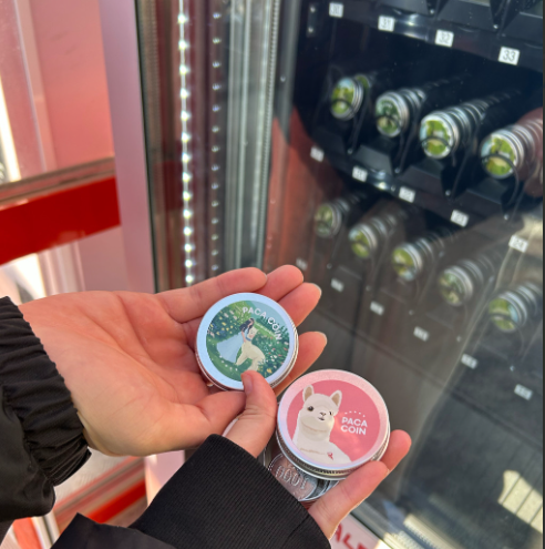 江原道(カンウォンド) 洪川(ホンチョン) アルパカワールド 入場チケット